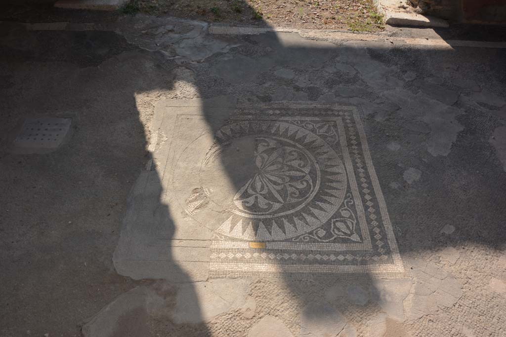 Vii Pompeii C Tablinum Central Mosaic Emblema In Flooring